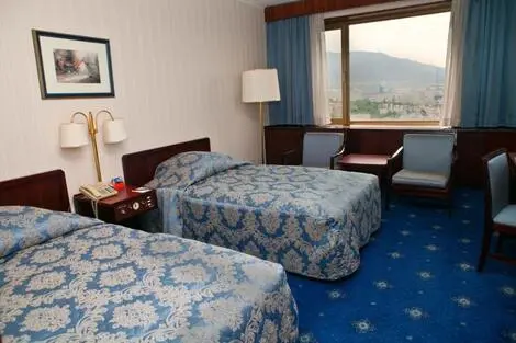 Hôtel Marinela Sofia sofia BULGARIE
