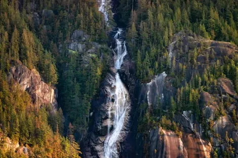 Chutes Shannon