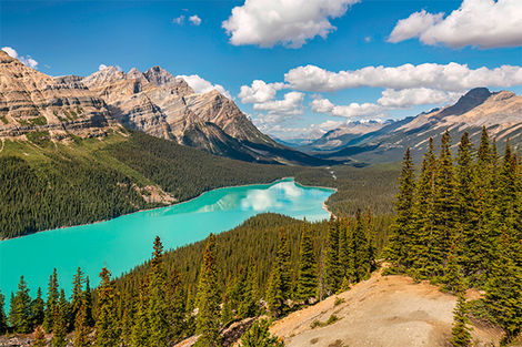 Lac Peyto