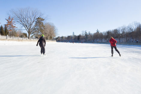 Patins à glace