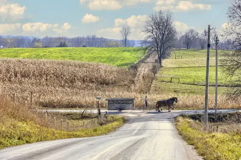 Pays amish