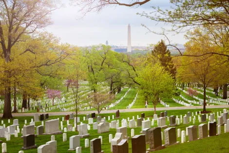 Washington (Arlington)