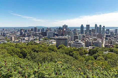 Mont Royal