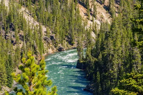Yellowstone
