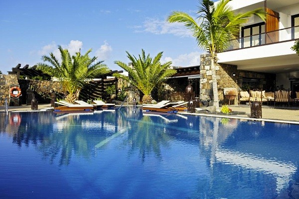 Piscine - Villa Vik