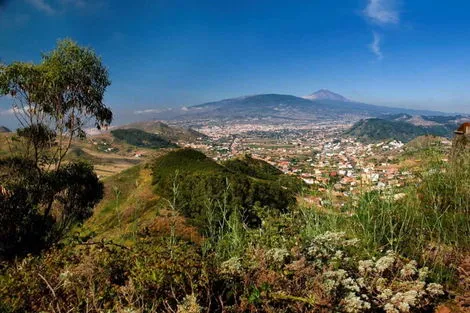Monte de las Mercedes