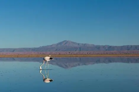 Circuit De l'infini d'Atacama aux légendes d'île de Pâques