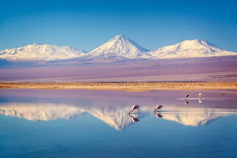 Circuit Le Chili et l'île de Pâques santiago Chili