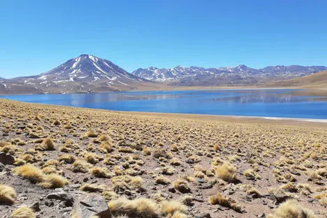 Laguna Miscanti & Miniques
