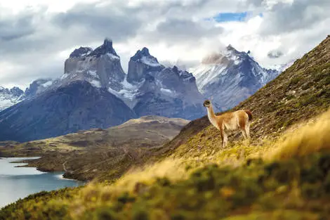 Autotour De l’Atacama au bout du monde : autotour en terre chilienne