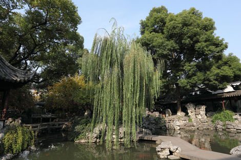 Jardin du mandarin Yu