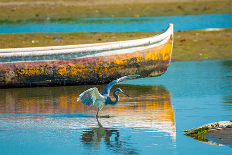 La Boquilla