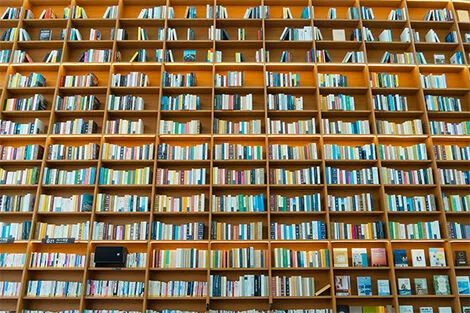 Starfield Library