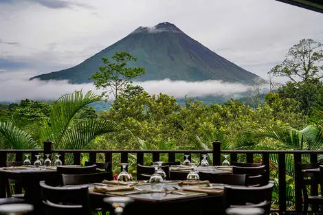 Arenal Manoa