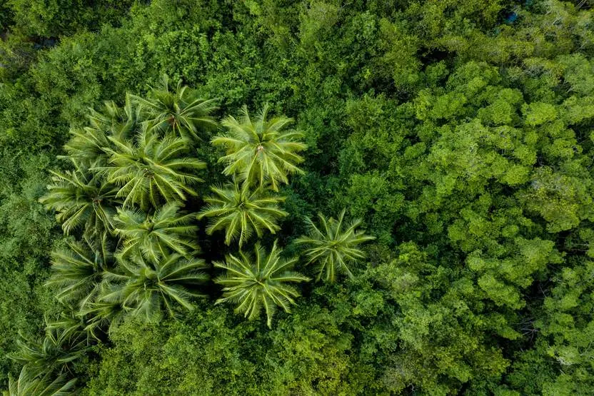Autotour Entre volcans et forêts, l'âme du Costa Rica