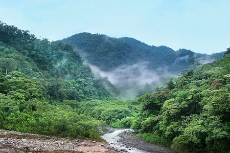 Circuit Entre Jungles et Forêts du Costa Rica & Tortuguero (Petit Groupe) san_jose Costa Rica