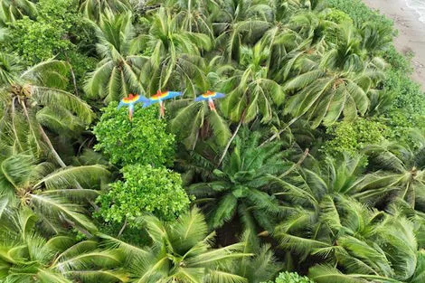 Circuit Trésors du Costa Rica - Limité à 18 pers san_jose Costa Rica