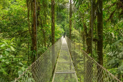 Pont suspendu - volcan Arenal