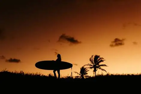 Hôtels L'essence du Costa Rica : parenthèse tropicale durable