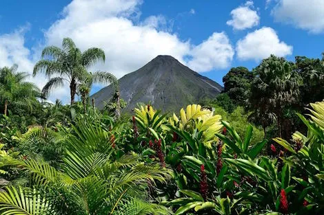 Autotour Richesses Naturelles et Jungle de Tortuguero san_jose Costa Rica
