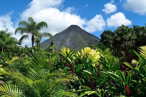 Autotour Richesses naturelles du Costa Rica - Extension Escapade à Tortuguero et plage de Tamarindo san_jose Costa Rica
