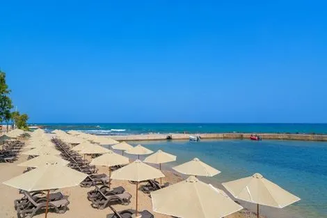 Club Marmara Golden Star 4* photo 3