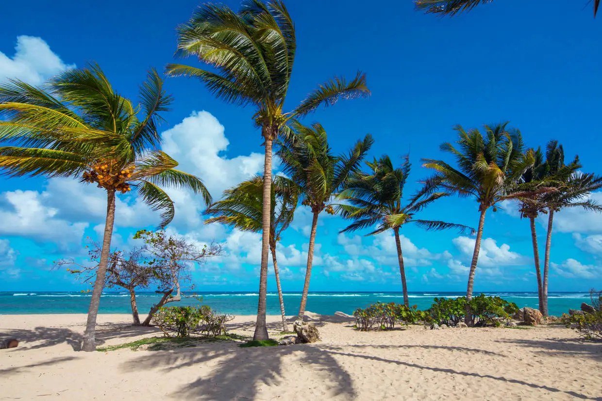 Cuba : Hôtel Adult Only - Memories Jibacoa