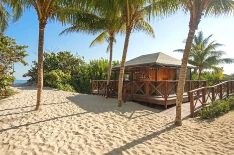 Hôtel Iberostar Playa Alameda 4*