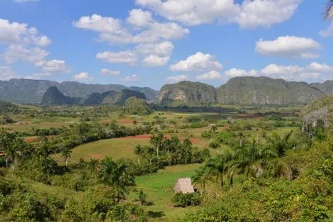 VINALES