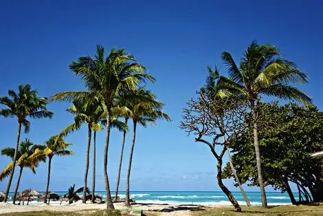 Hôtel Starfish Cuatro Palmas varadero CUBA