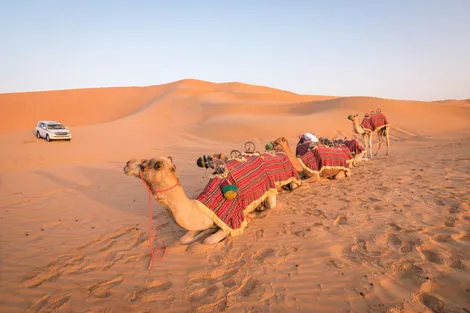 Circuit Dubaï - Aventures du désert dubai Dubai et les Emirats