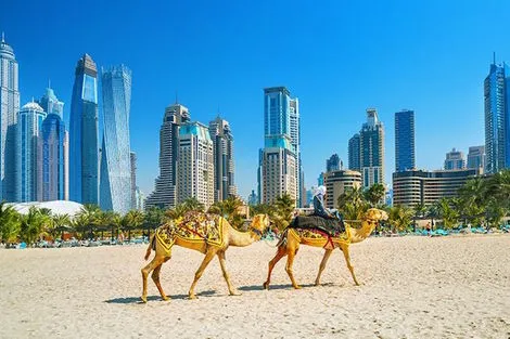 Dubai et les Emirats : Hôtel Al Seef Heritage Hotel Dubai, Curio Collection by Hilton