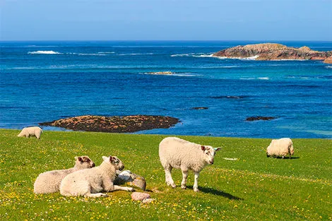 L'île de Iona