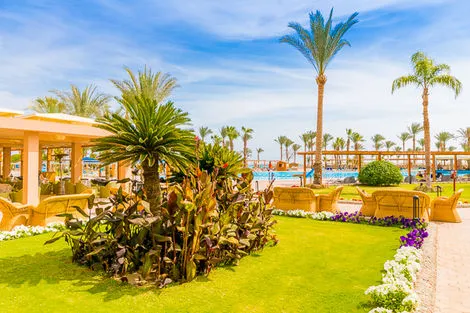 Hôtel Continental Hurghada 5* photo 17
