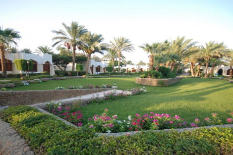 Autres - Hôtel Zya Regina Resort & Aqua Park 4* Hurghada Egypte