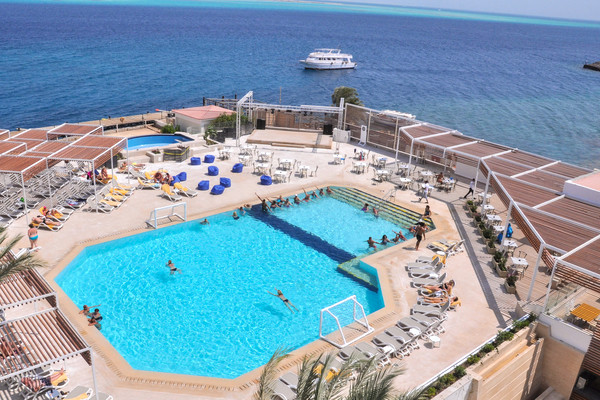 Piscine - Hôtel Adult Only Sunrise Holidays Resort 5* Hurghada Egypte
