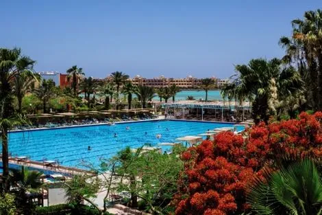Piscine - Hôtel Arabia Azur Resort 4* Hurghada Egypte