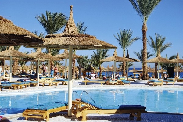 Piscine - Beach Albatros Resort