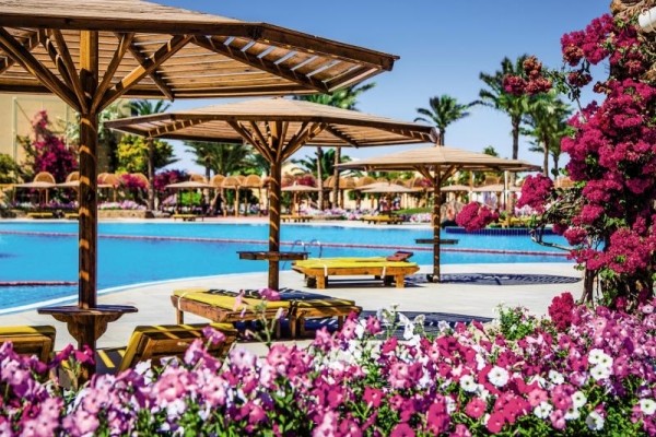 Piscine - Hôtel Desert Rose Resort 5* Hurghada Egypte