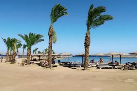 Plage - Hôtel Arabia Azur Resort 4* Hurghada Egypte