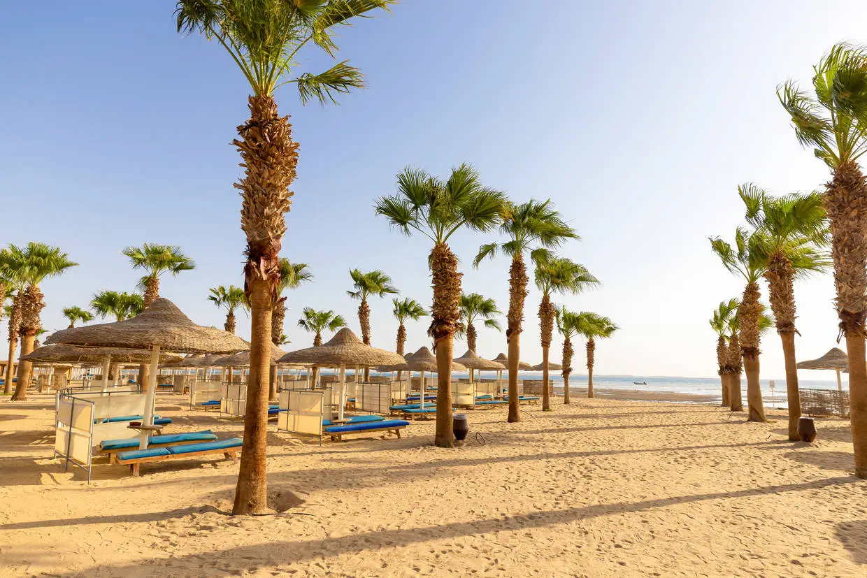 Egypte : Hôtel Club Jumbo Amwaj Beach Club Abu Soma