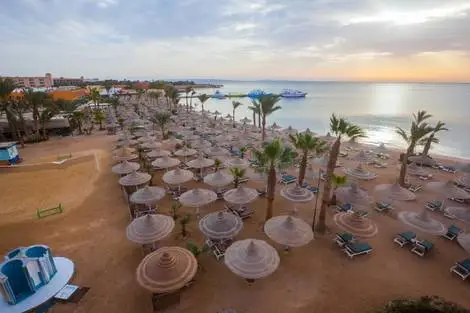 Plage - Hôtel Marlin Inn Azur Resort 4* Hurghada Egypte