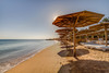 Plage - Palm Beach Resort 4* Hurghada Egypte