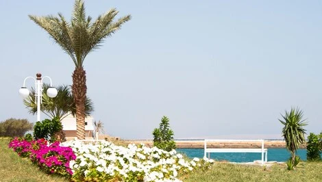 Hôtel White Valley Palace hurghada EGYPTE