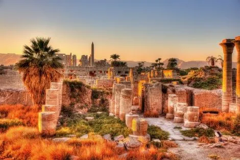 Croisière Contrastes du Nil et de la Mer Rouge - Sortie Hurghada 2026 le_caire Egypte