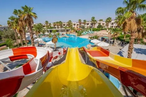 Hôtel Adult Only +18 - Amphoras Aqua sharm_el_sheikh Egypte