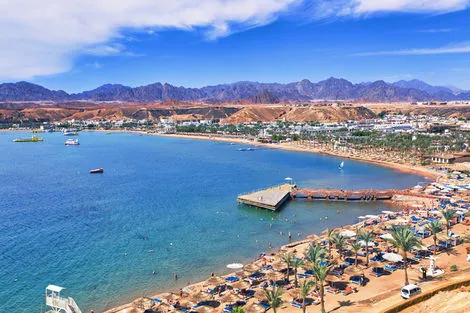 Egypte : Hôtel Beach Albatros Resort 
