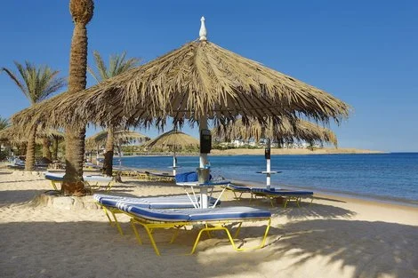 Hôtel Jaz Fayrouz sharm_el_sheikh EGYPTE