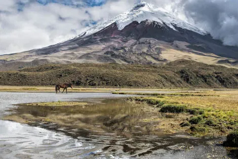 Cotopaxi