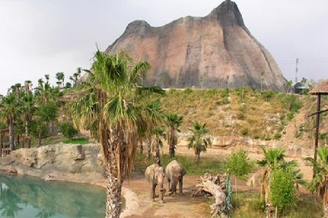 Terra Natura
